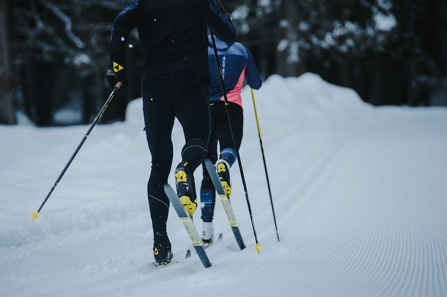 Cross country ski. Фишер Jumper лыжи. Лыжи Salomon Skin. Фишер лыжи беговые Эстетика. Лыжник беговые лыжи.