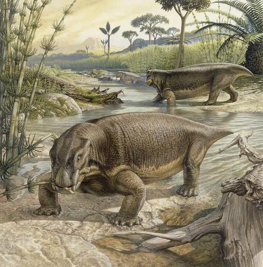 250 млн лет назад какой период. Джон Сиббик палеохудожник. Палеозойская Эра Триасовый период. Листрозавр Триасового периода. Листрозавры (Lystrosaurus),.