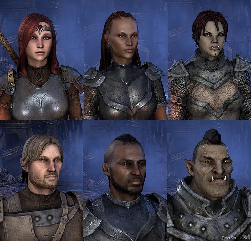 The elder scrolls альдмерский доминион. Хаммерфелл редгарды. Люди тес. Фэнтези средневековье. Люди тес.