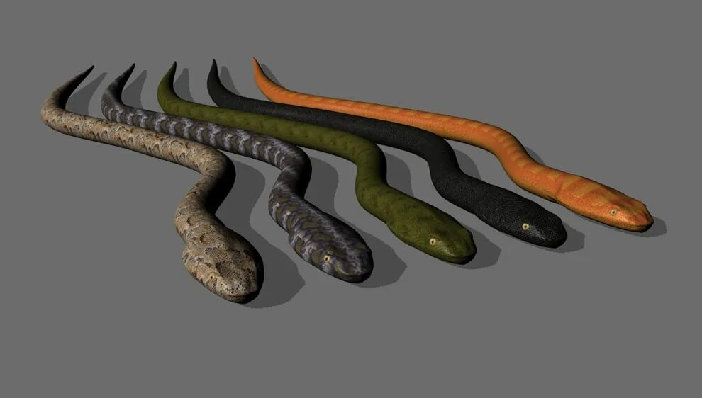 Snake мод. Змея 3д модель. 3д модель змеи. 3д объект змея. 5 Змей.