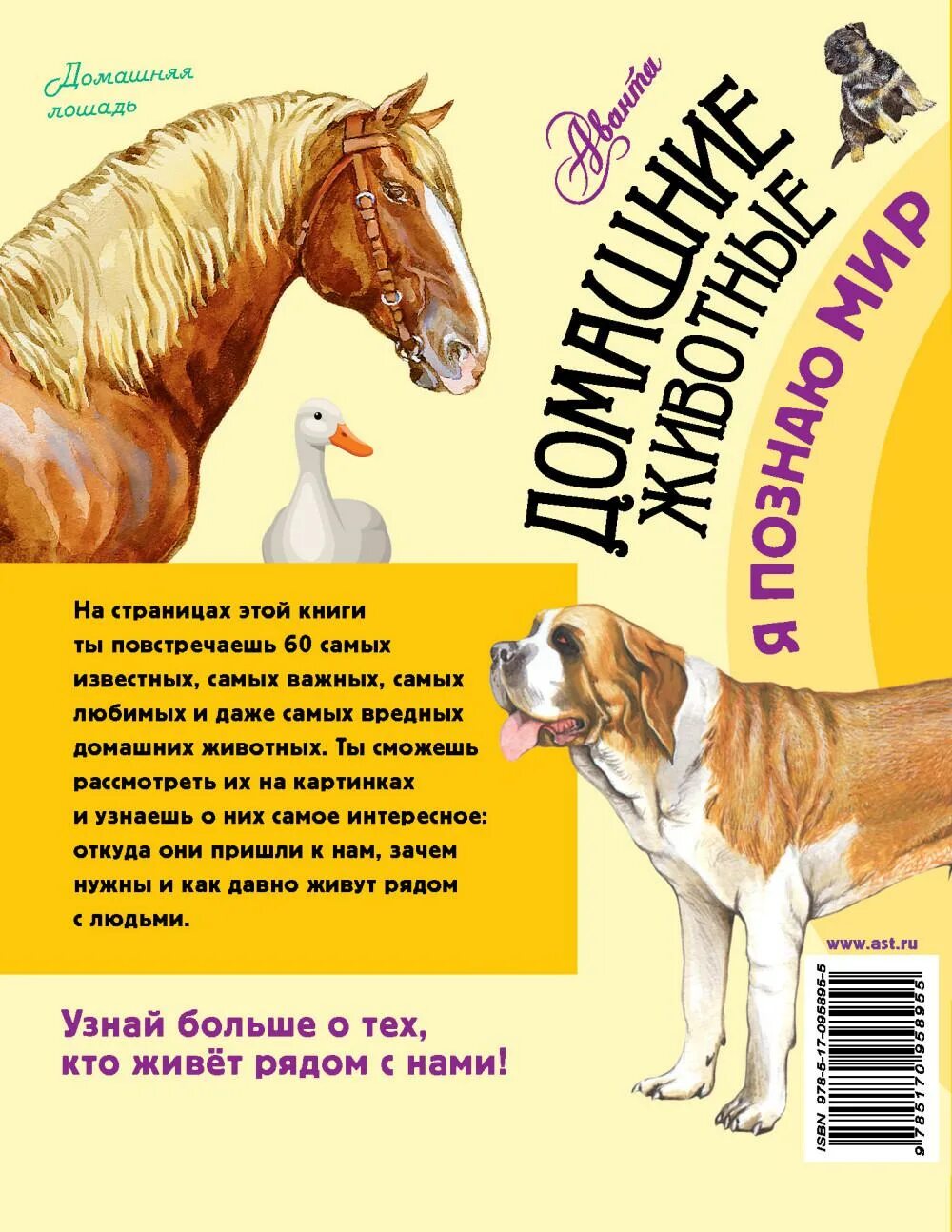 Емельянова расскажите детям о домашних животных. Книге одамашних жывотных. Книги о домашнизживотных. КГИ И О домашних животных. Книги о домашних животных.