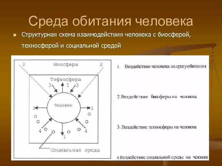 Среда обитания человека схема. Взаимодействие человека и среды обитания. Схема взаимодействия человека со средой обитания. Взаимодействие человека с техносферой.