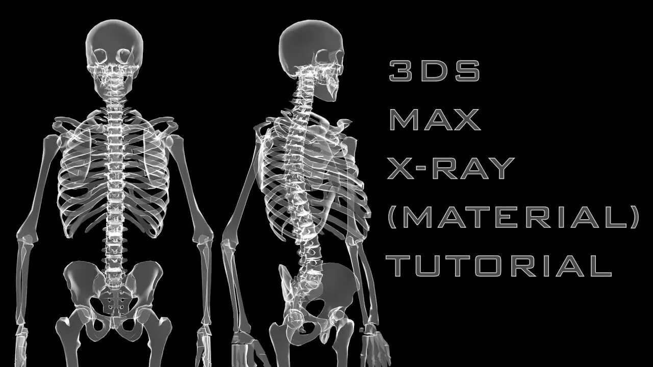 D a xray monolith. XRAY 3d Max. X ray Skeleton. X ray material. Режим x-ray.