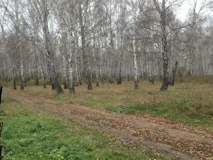 Земельный участок челябинский