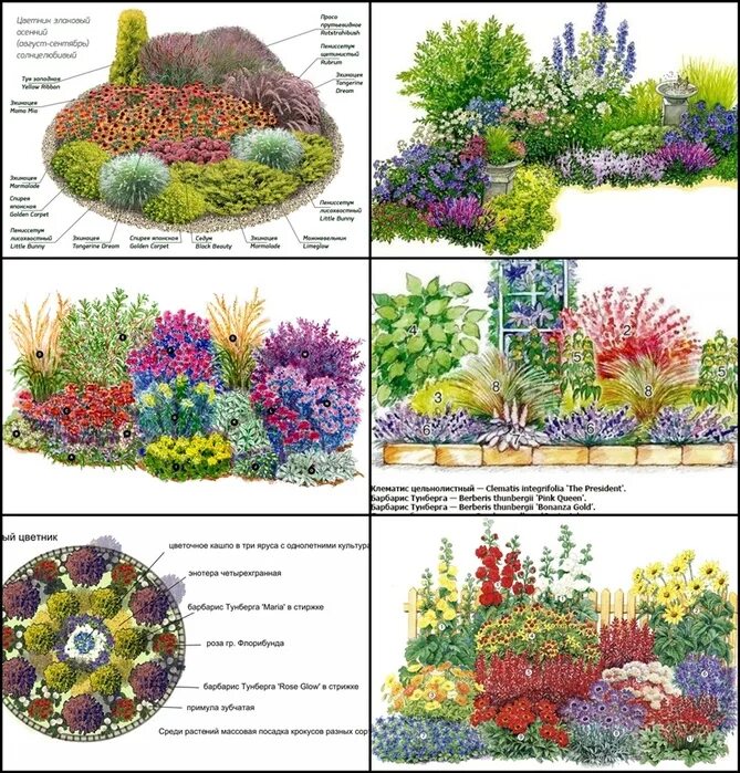 Миксбордер из многолетников и однолетников схема. Миксбордер непрерывного цветения многолетников схема. Клумба миксбордер многолетники схема. Клумбы миксбордеры непрерывного цветения. Клумба из многолетников для начинающих непрерывного цветения