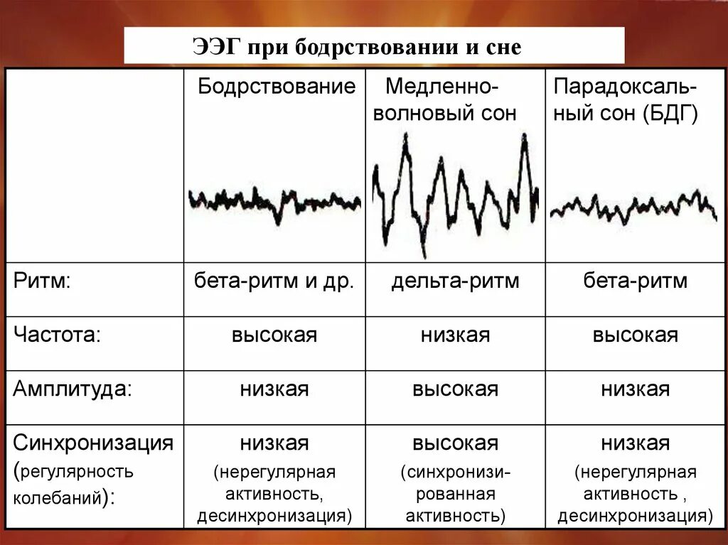 Реакция ээг. Десинхронизация ритма ЭЭГ это. ЭЭГ при бодрствовании. Реакция десинхронизации на ЭЭГ. ЭЭГ при сне и бодрствовании.