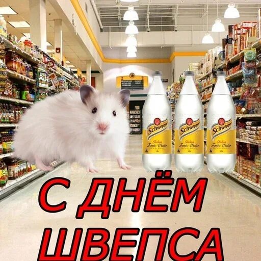 Каждый день праздник мем Картинка с днем бетона