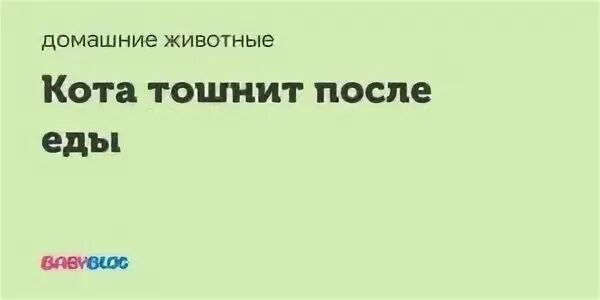 Тошнит через час после еды. Почему кот блюёт после еды. Почему кота тошнит после еды. Кота рвёт после еды непереваренной пищей. Почему кота рвет после еды непереваренной пищей.