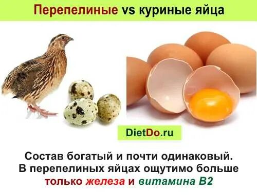Чем отличаются перепелиные от куриных. Куриные и перепелиные яйца. перепелиные яйца польза. чем полезно перепелиное яйцо. польза куриных яиц.