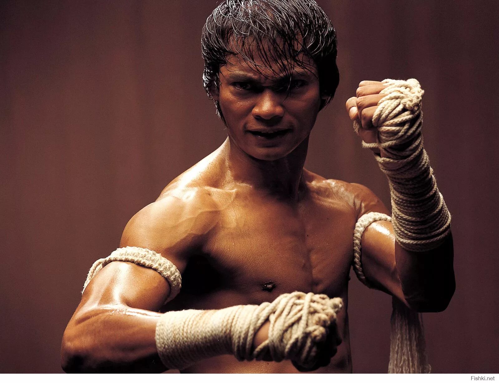 Рукопашный бой в армии сша. Единоборства сша. Спортивные единоборства бокс. Муай тай. Тони джа и буакав.