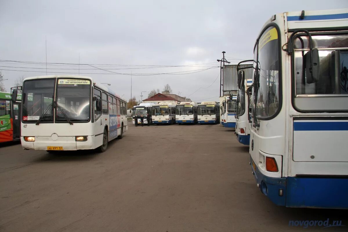 Автобусный парк Великий Новгород Нехинская. Автобусы в Великом Новгороде. Автобусы Великий Новгород. Транспорт Великий Новгород.