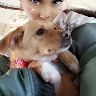 Dog and sarah
