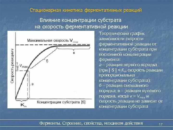 При увеличении концентрации субстрата скорость реакции. При увеличении концентрации субстрата скорость реакции