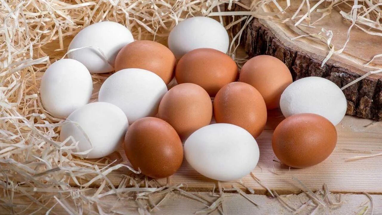 К чему снятся куру и яйца. Яйцо куриное. Коричневые и белые яйца. Коричневое яйцо. Яйцо куриное белое.