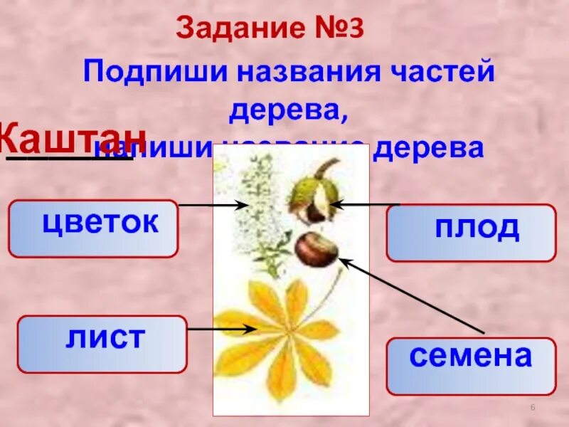 3 подпиши