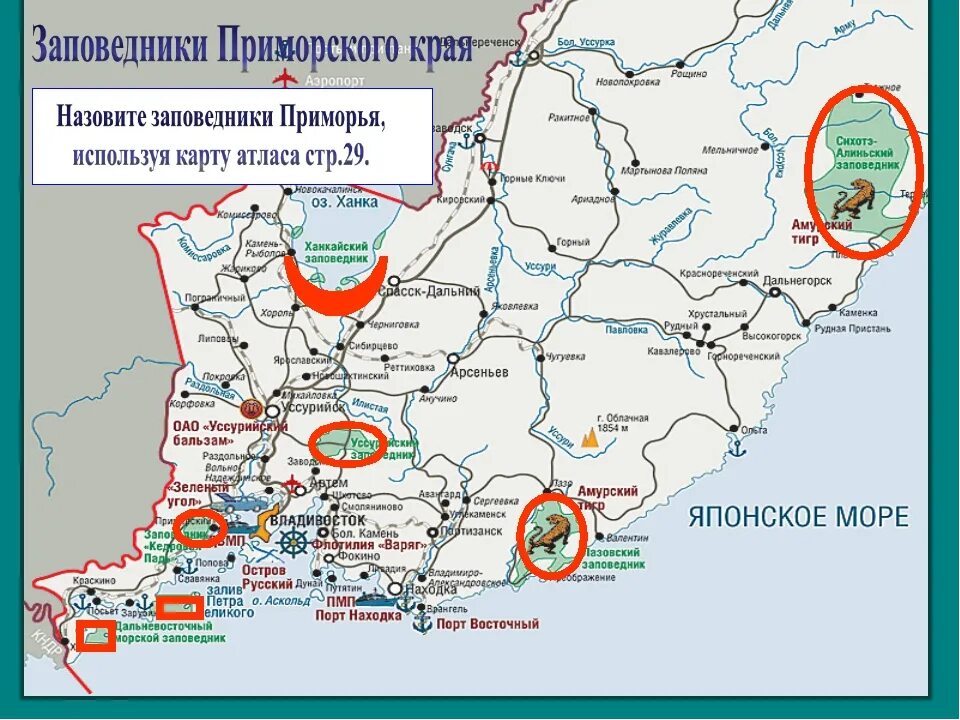 Карта надеждинская приморского края. Карта заповедников Приморского края. Приморский край города Приморского края на карте. Национальные парки и заповедники Приморского края карта. Заповедники Приморья на карте.