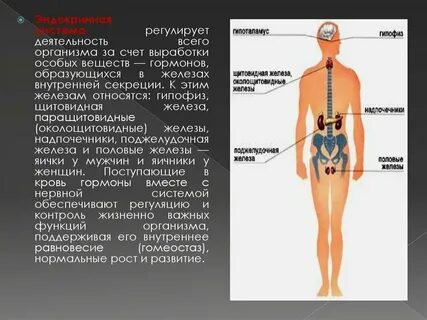Какая система регулирует концентрацию