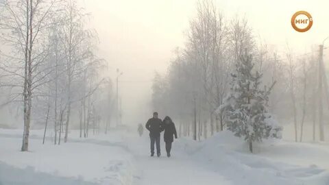 Погода месяц ноябрьск