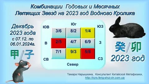 Летящие звезды 2025 года