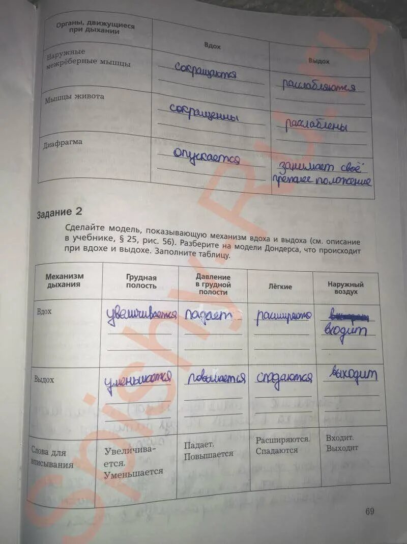 Биология маш 8 класс ответы. Биология 8 класс драгомилов. Рабочая тетрадь по биологии 8 класс маш драгомилов. Биология 8 класс тесты драгомилов. Биология 8 класс драгомилов параграф 44 таблица.