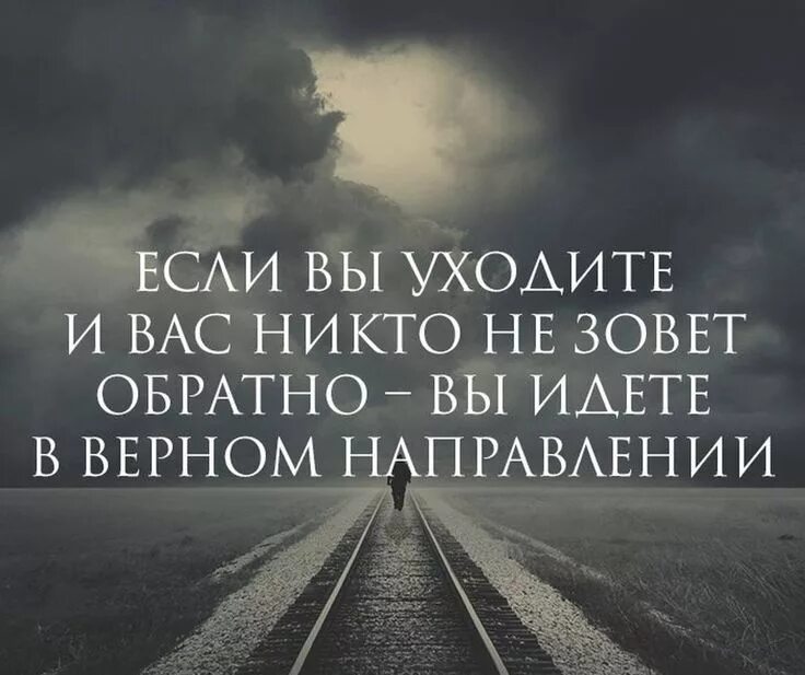 Все цитаты про жизнь. Цитаты. цитаты со смыслом. циуты. афоризмы в картинках.