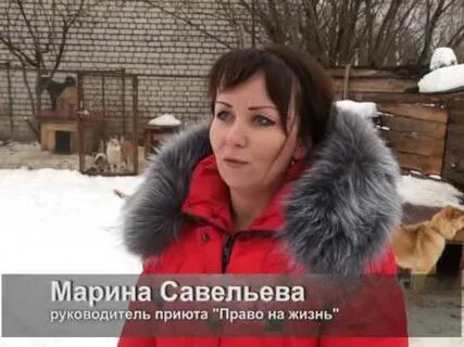 Приют право жить