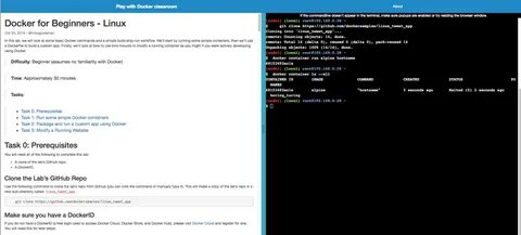 Docker exit codes
