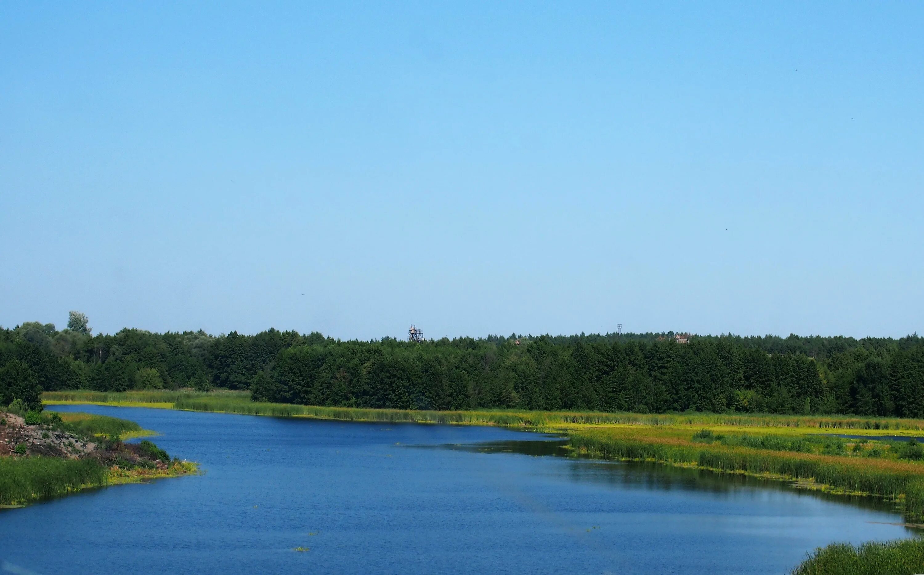 Река сейм курская область. Река сейм курск. Речка сейм курск. Река курская. Речка сейм курск.