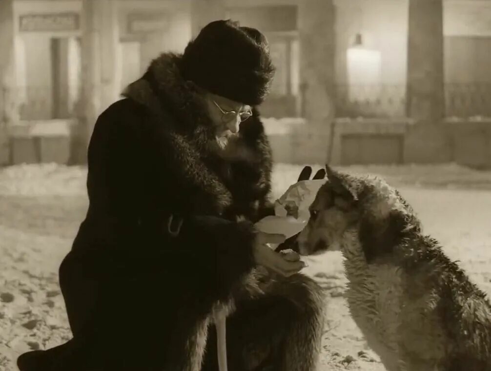 Собачье сердце почему шарик погибал в подворотне. Характеристика шарика собачье сердце. Собачье сердце абдуладзе. Собачье сердце почему шарик погибал в подворотне. Шариков цитаты.