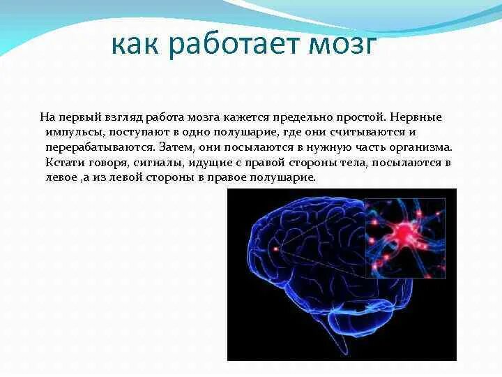 Презентации на тему мозга. Мозг для презентации. Поступление информации в мозг. Информация поступает в мозг. Импульсы головного мозга.