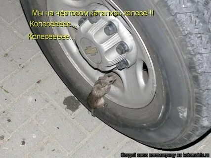 На чертовом катались колесе слушать