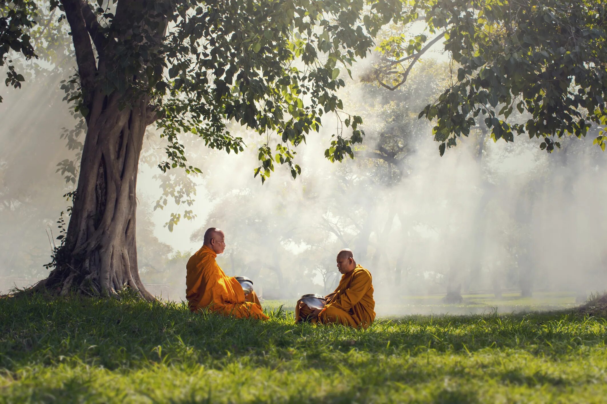 9 детей дзен. Буддист монах будха. Монах медитирует. Буддизм природа. Буддист на природе.
