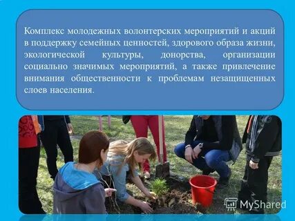 Добрый опыт