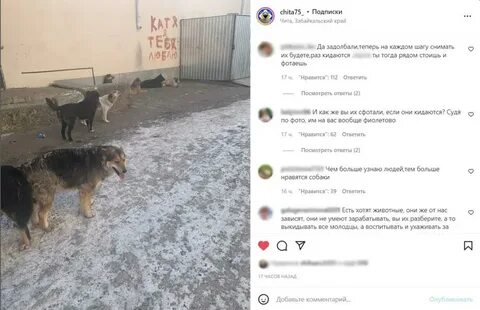 Dogs читы