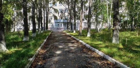 Пер клинический 2