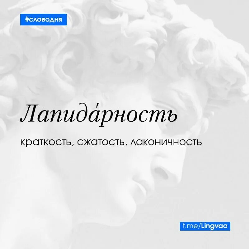 Лапидарность. Лапидарный стиль. Эмоциональная лабильность. Лапидарная речь. Лапидарный что это такое простыми словами.