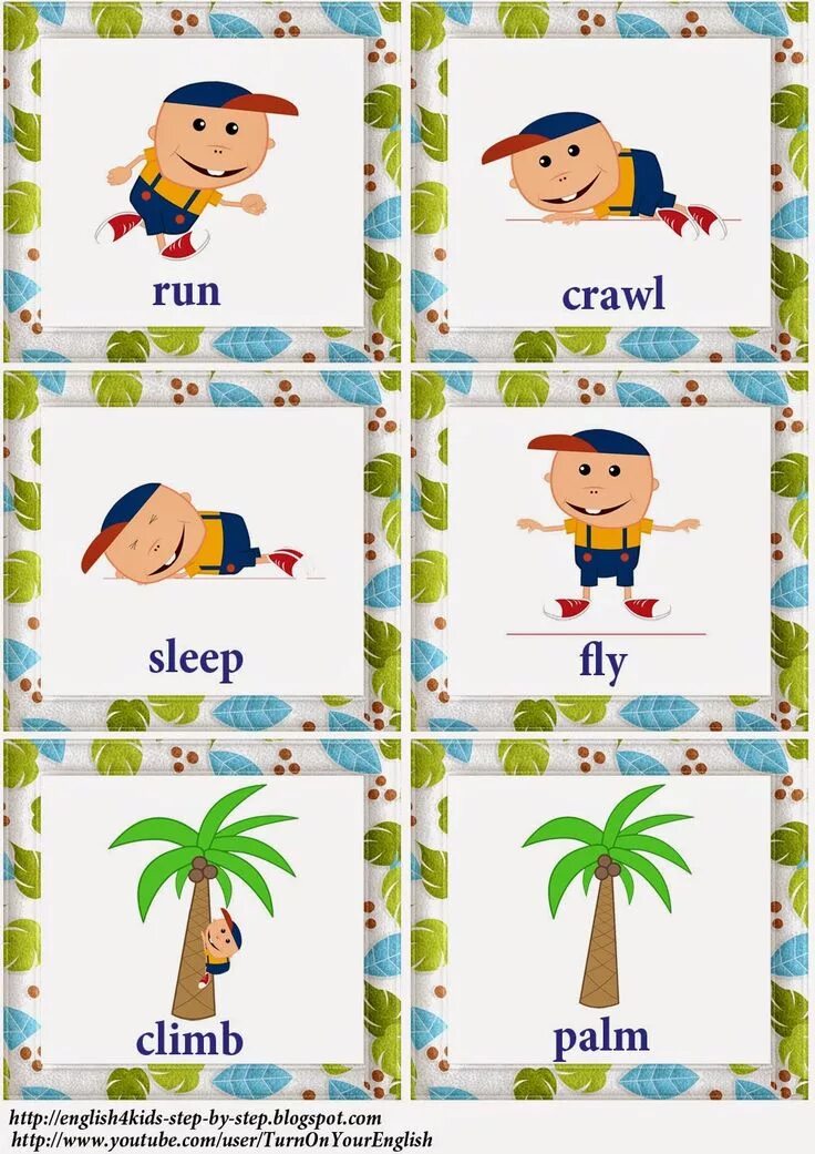 Fly flashcards