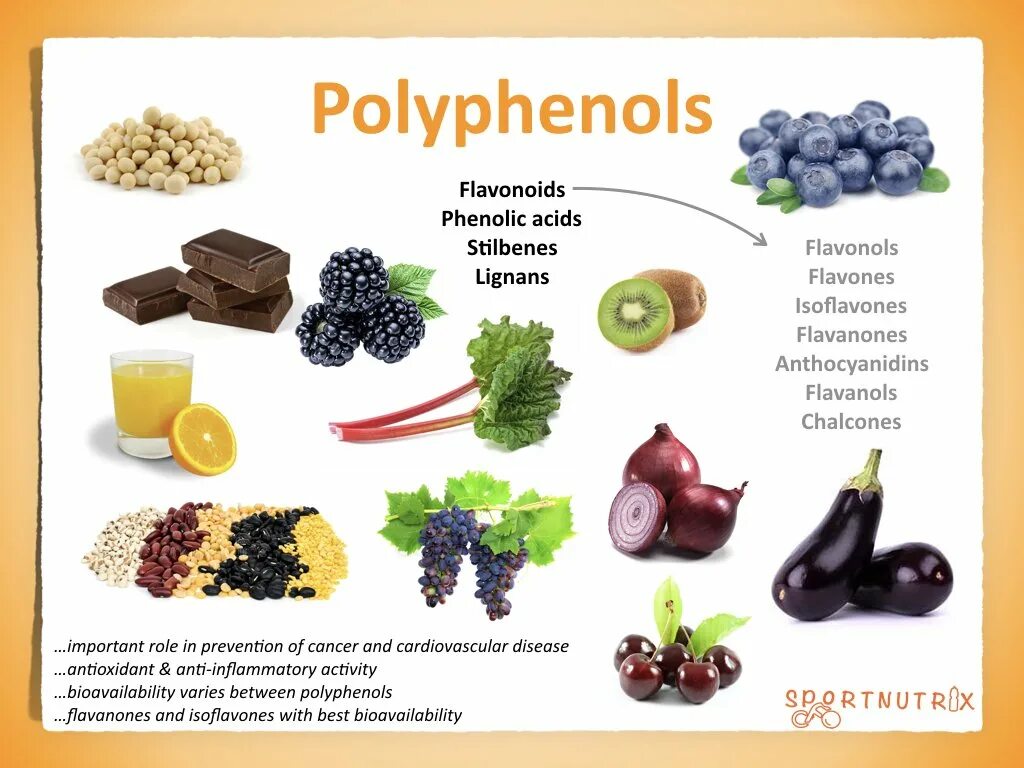 Флавоноиды это простыми. Полифенолы. Полифенолы в продуктах. Растительные полифенолы в продуктах. Продукты богатые полифенолами.