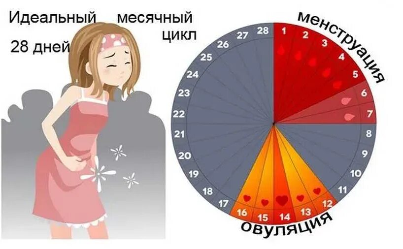 Почему когда день начинается