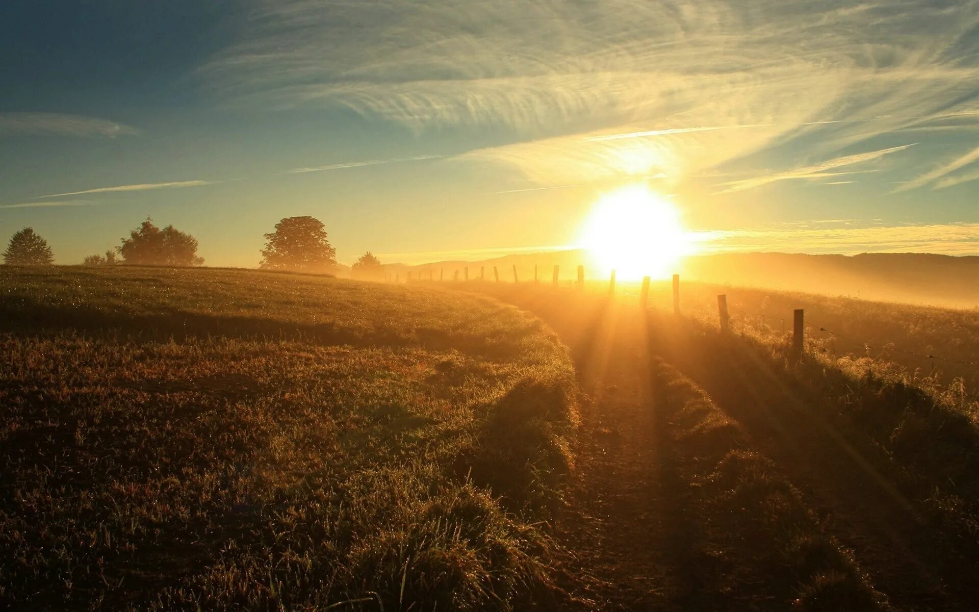 Morning shine. Рассвет солнца. Природа солнце. Пейзаж с солнцем. Утро солнце.