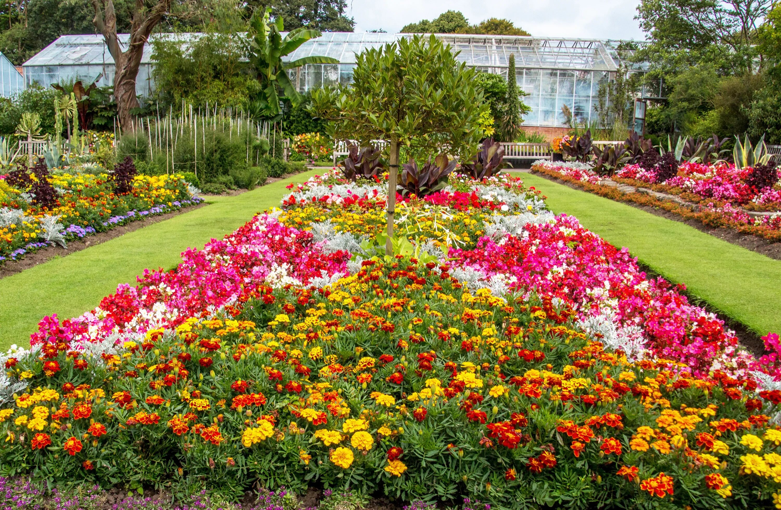 Как выглядит цветы на клумбе. Wentworth Castle Gardens. Летние цветники в саду. Красивые клумбы. Цветы для клумбы.