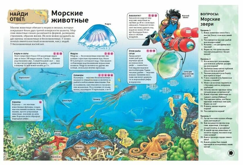 интерактивные книги энциклопедии. энциклопедия для детей. интерактивные книги энциклопедии. интерактивная энциклопедия для детей 7 лет. интерактивная энциклопедия.
