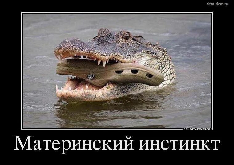 Материнский инстинкт mothers instinct. Демотиваторы свежие. материнский инстинкт. демотиваторы с матом. демотиваторы смешные свежие 2025.