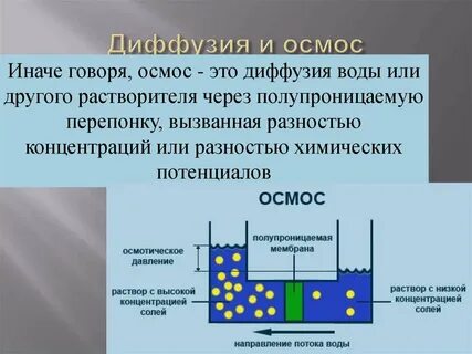 Осмос это в химии