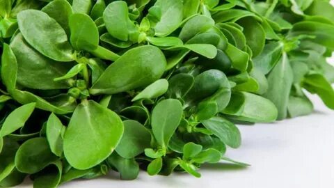 Xotinini Internetda baham kordi