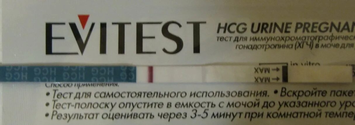 Поздний тест форум. Эвитест 9 ДПО призрак. 13 ДПО тест эвитест. 12 ДПО эвитест призрак. 9 ДПО призрак на тесте.