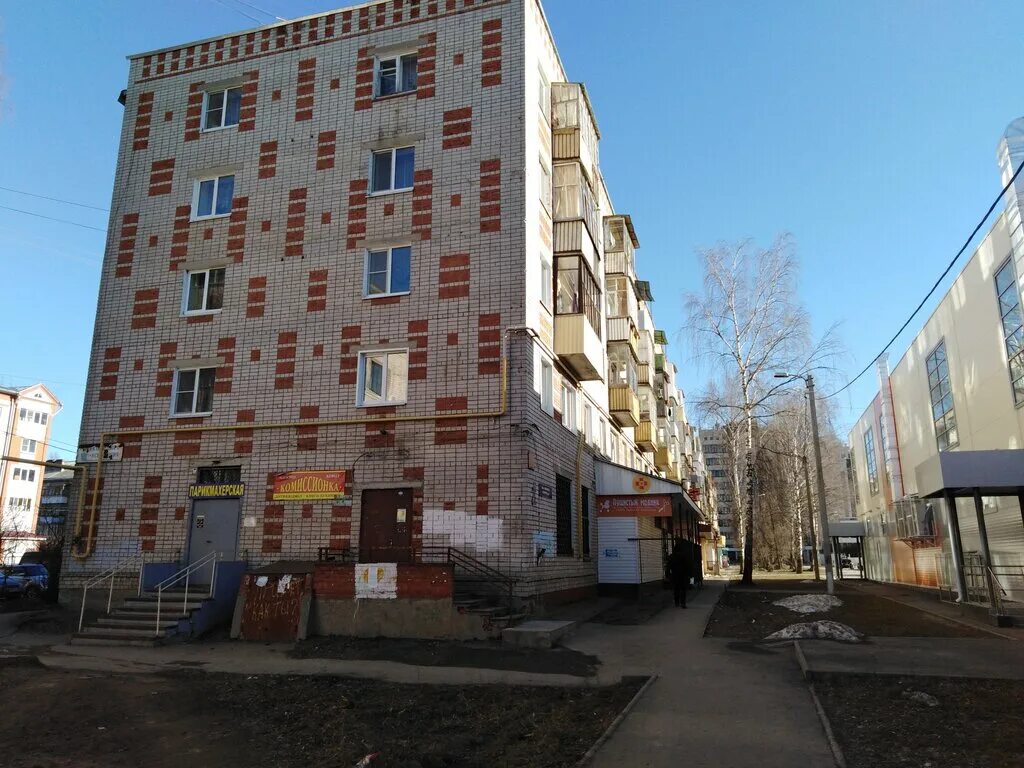 пушистый модник йошкар ола