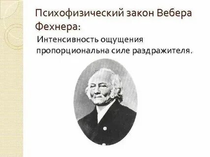 Плюсы вебера