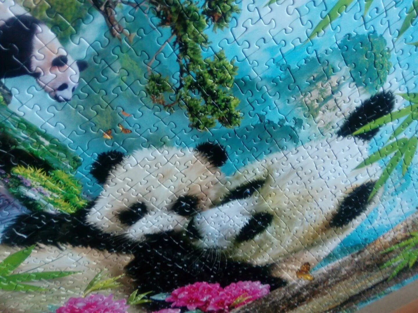 Пазлы панды собранные. Изображение панды для пазла. Пазлы на липучке с пандой. Пазл панды 3000.