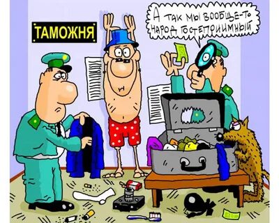 День таможенника смешные картинки